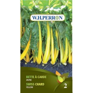 Bette à carde jaune