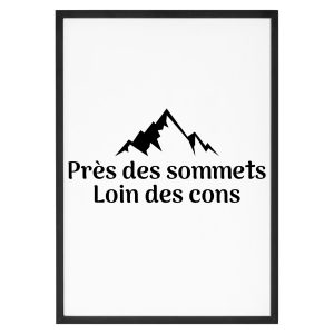 Affiche « Près des sommets, loin des cons »