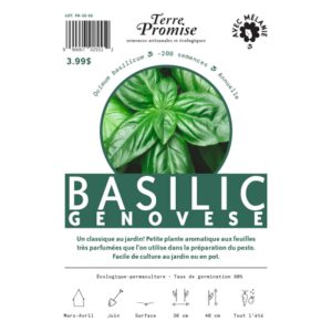 Basilic Genovese