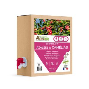 Biostimulant azalées et camélias 3L