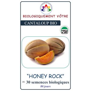 Cantaloup Honey Rock
