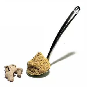 Gingembre moulu