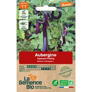 Graines biologiques Aubergine Japanese Pickling