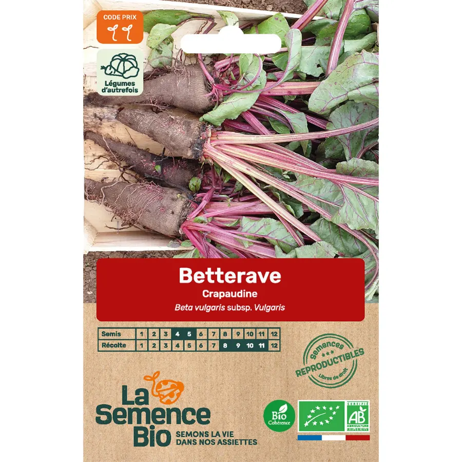 Graines biologiques Betterave Crapaudine