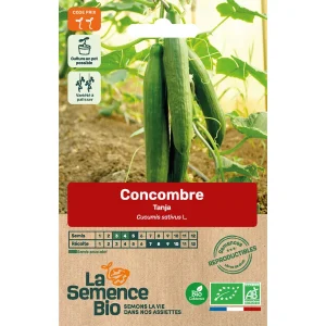 Graines biologiques Concombre Tanja