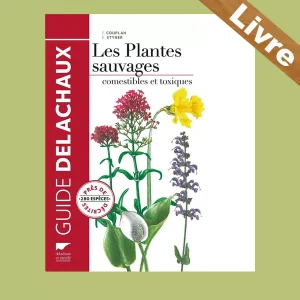 Les Plantes sauvages, comestibles et toxiques – Guide DELACHAUX