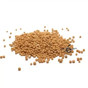 Moutarde blanche en grains