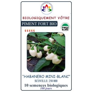 Piment Fort Habanero Mini Blanc