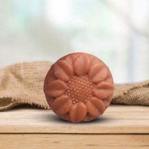 Shampoing solide Le Nourrissant 100g – Louise Emoi