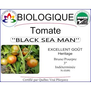 Plant de Tomate Black Sea Man