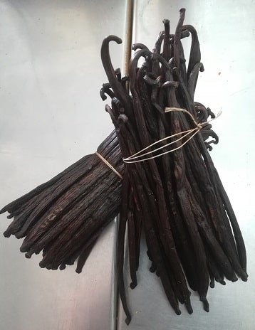 Vanille Planifolia (Bourbon) gousses 16 cm